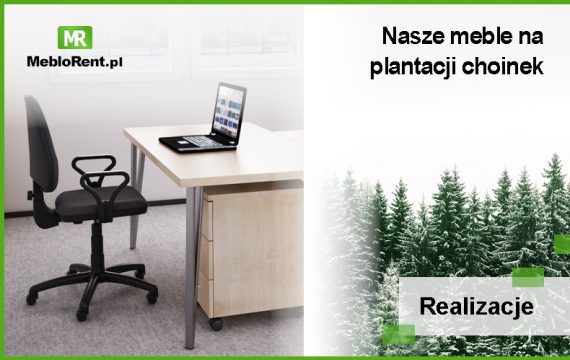 Plantacja choinek – MebloRent zapewnia komfort pracy